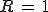 R,=,1 R\,=\,1